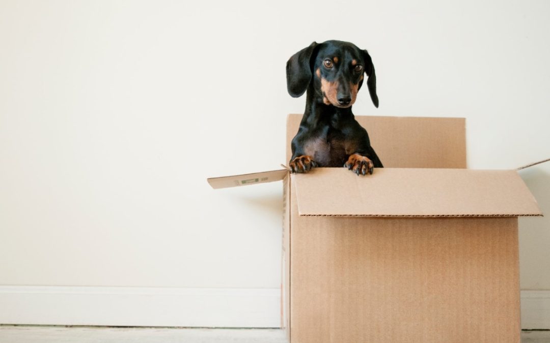 New House Checklist: What to Do Before Moving In